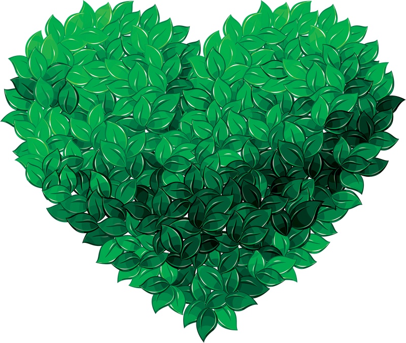 绿色心形树叶植物元素