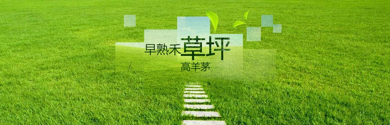 改革创新的草品banner高清psd图