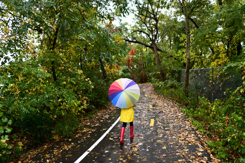林间步行的打伞女孩图片