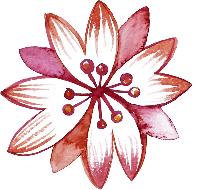 红色花朵设计图片