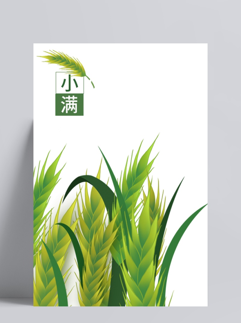 手绘装饰插图小满节气水稻插画