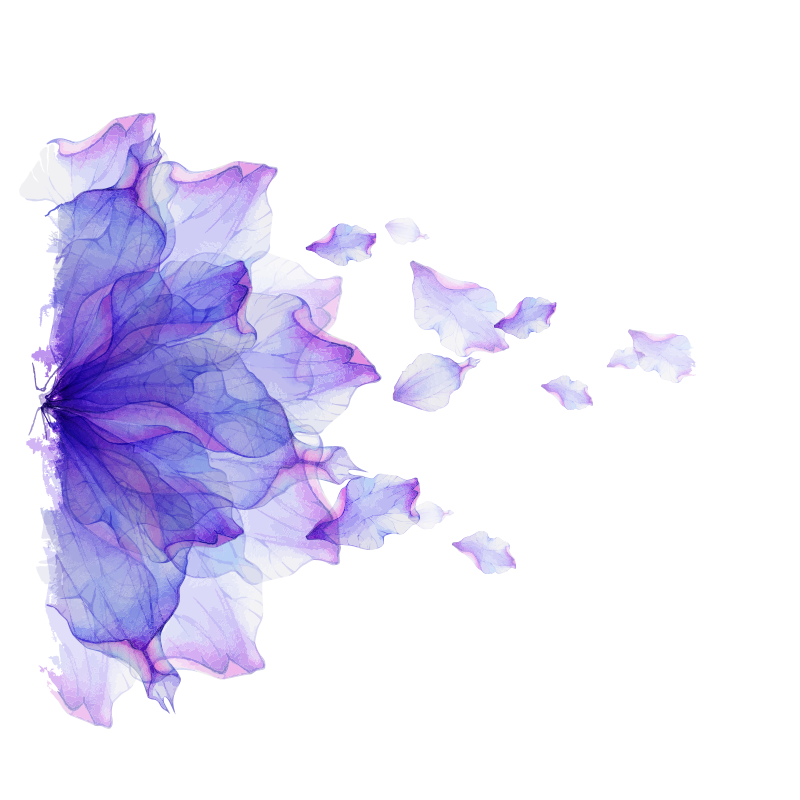 紫色漂浮花瓣