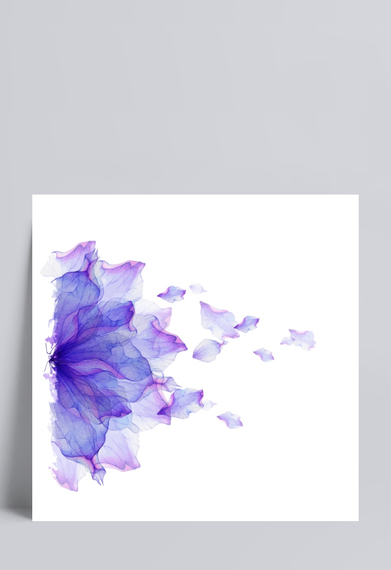 紫色漂浮花瓣
