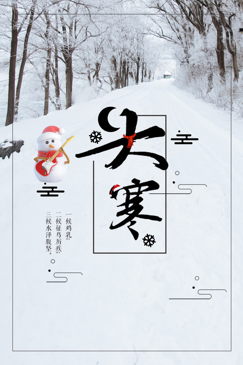 二十四节气之大寒季节白色中国风传统海报