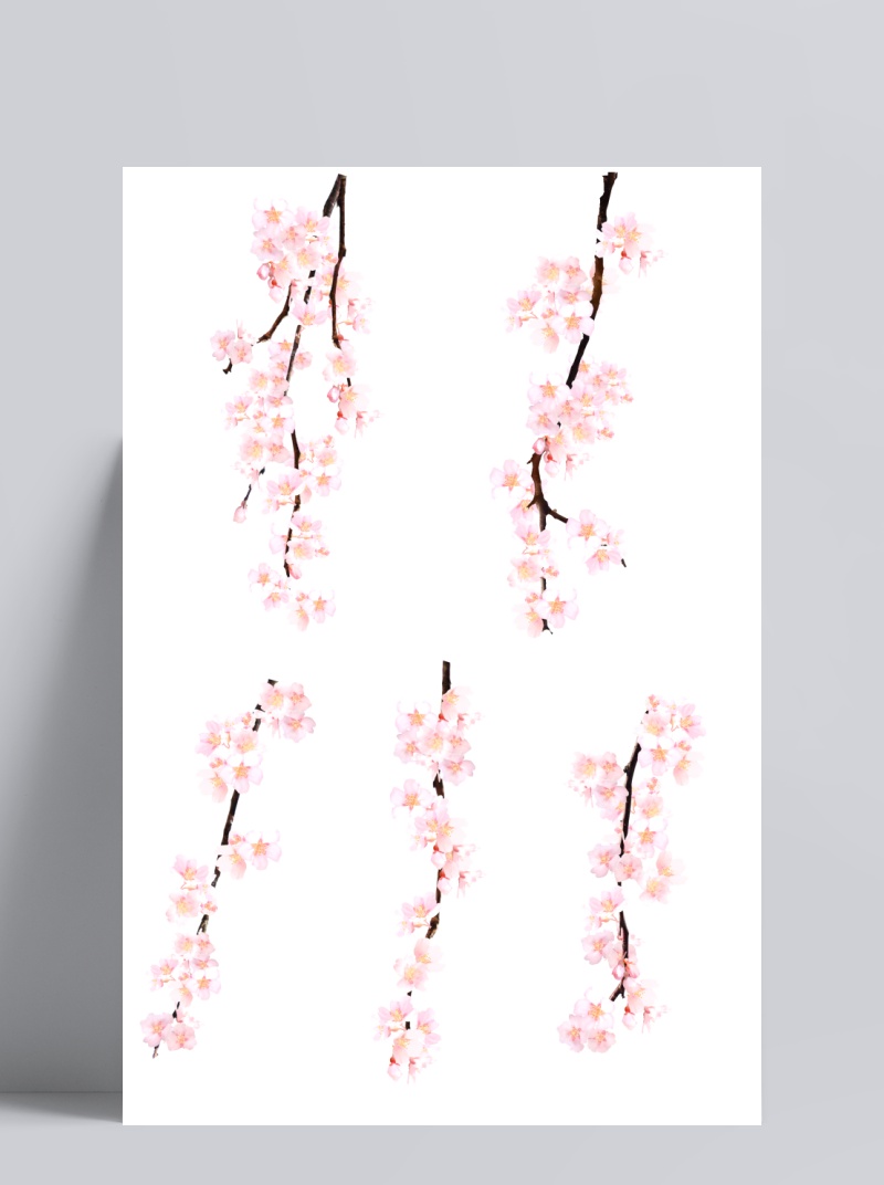 粉色花枝樱花装饰元素