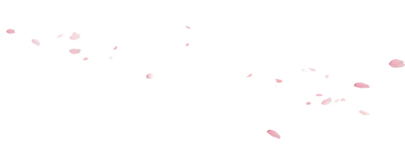 粉色漂浮花瓣