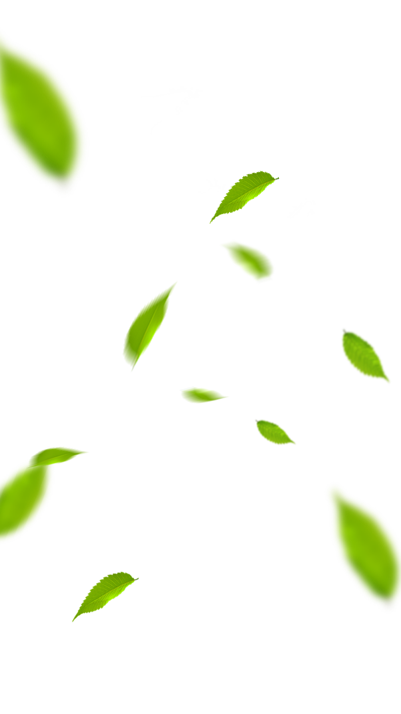 绿色茶叶树墩背景素材