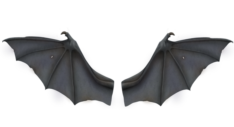 灰色蝙蝠翅膀
