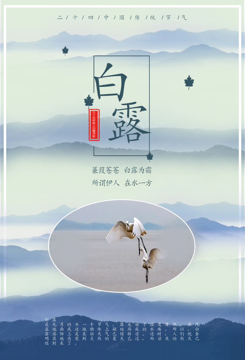 中国风水墨意境白露节气海报背景素材