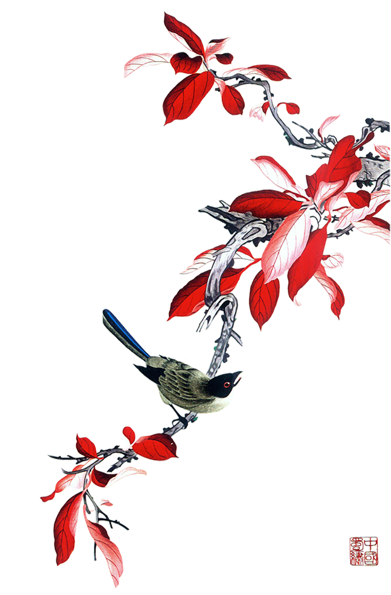 小鸟花朵花瓣装饰PNG图片下载含PSD