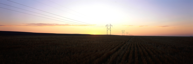 远处夕阳下的电线杆