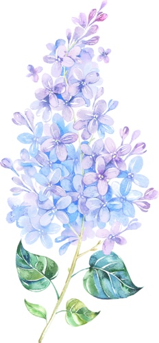 蓝色手绘花束