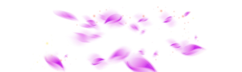 紫色花瓣高清png素材