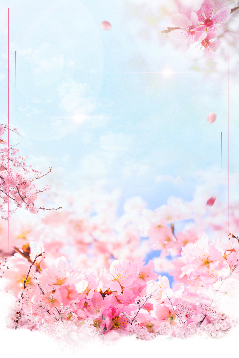 粉色小清新春季杏花背景素材