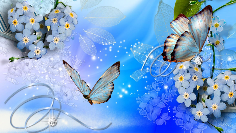 鲜花与蝴蝶背景图片