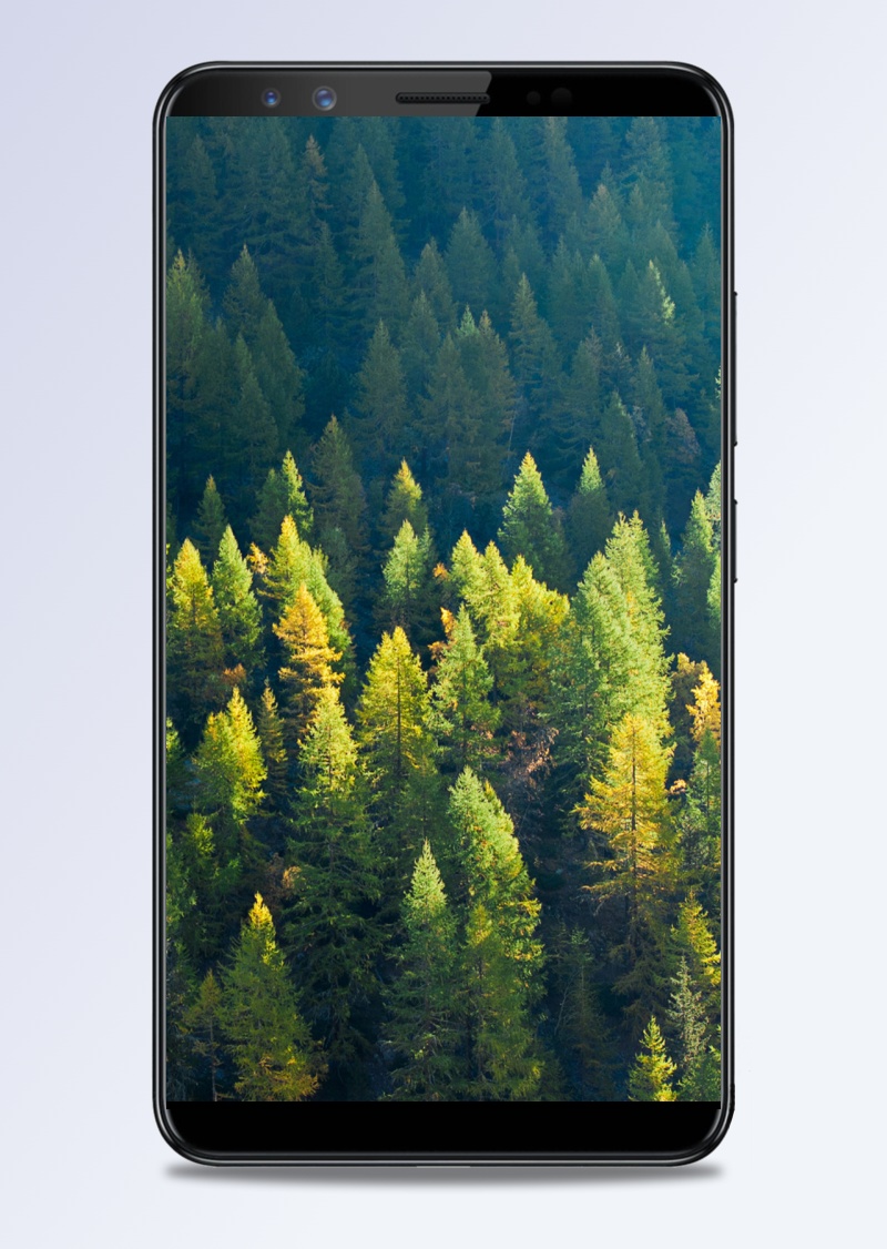 森林风光手机H5背景