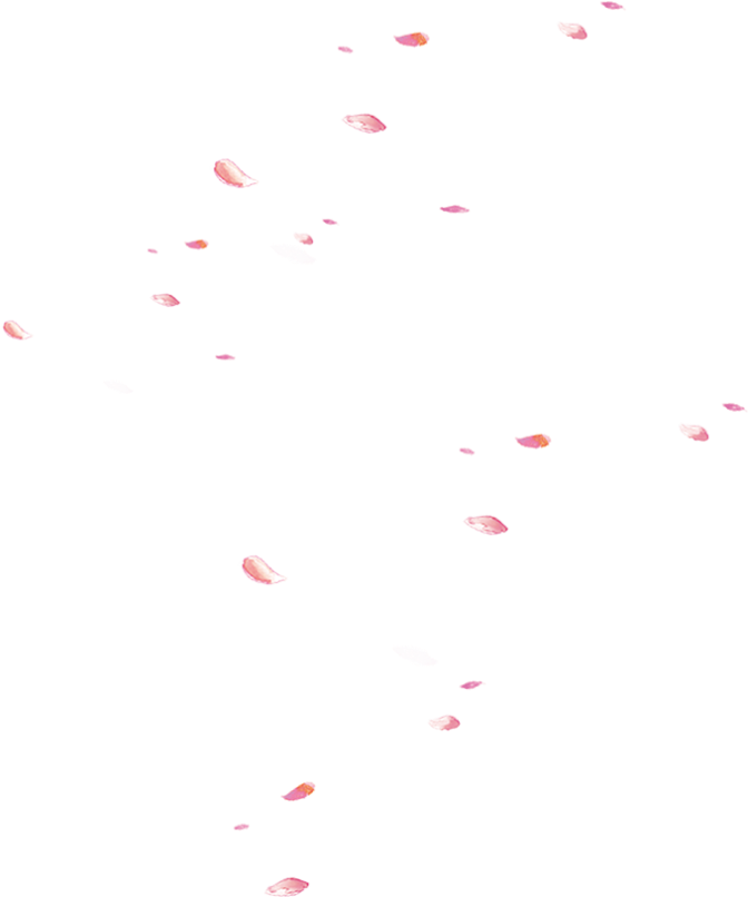 情人节粉色花瓣装饰
