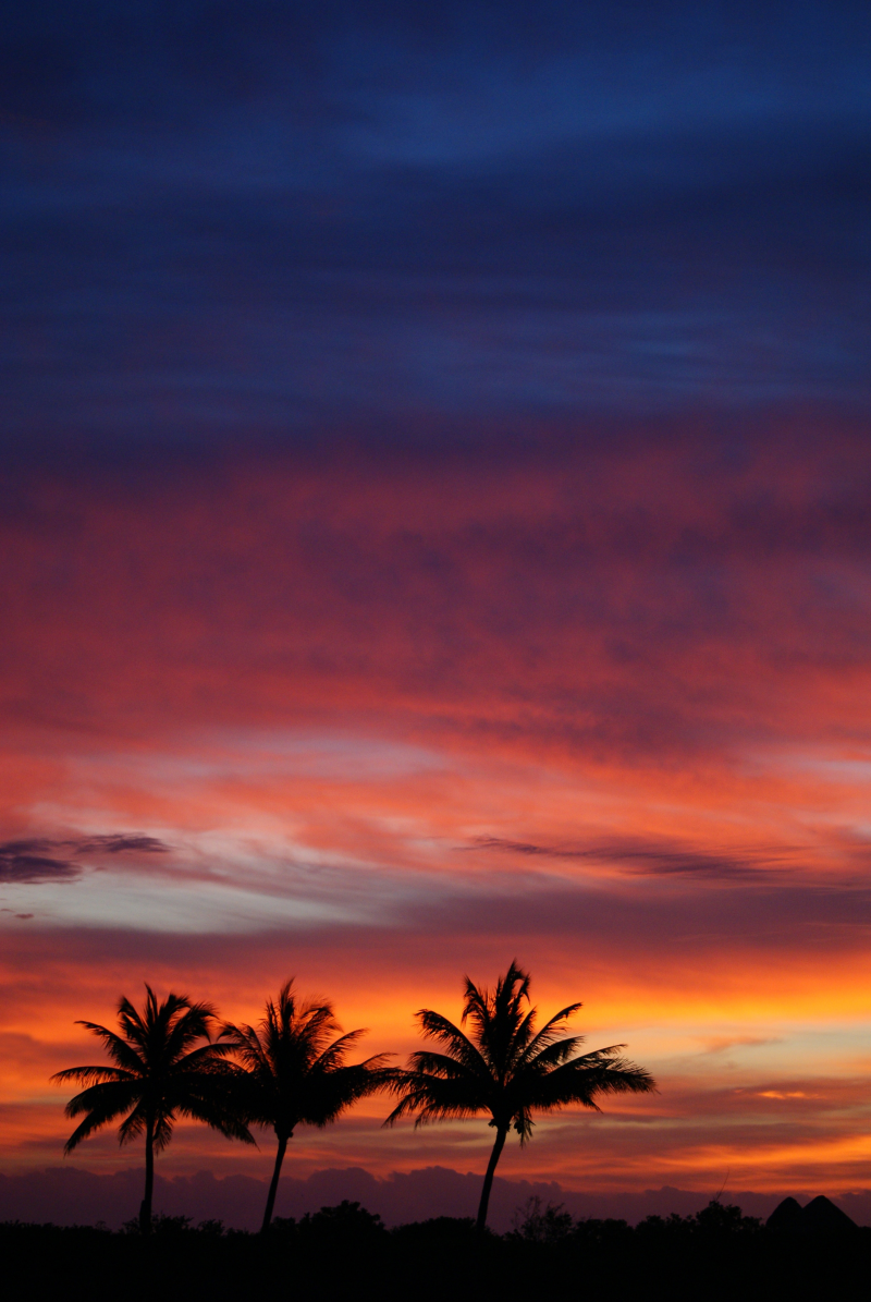 黄昏晚霞群山椰树风景摄影高清图片