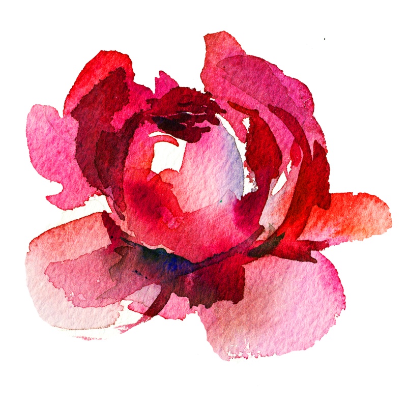 粉色玫瑰花朵设计图片