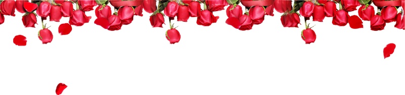 玫瑰花装饰