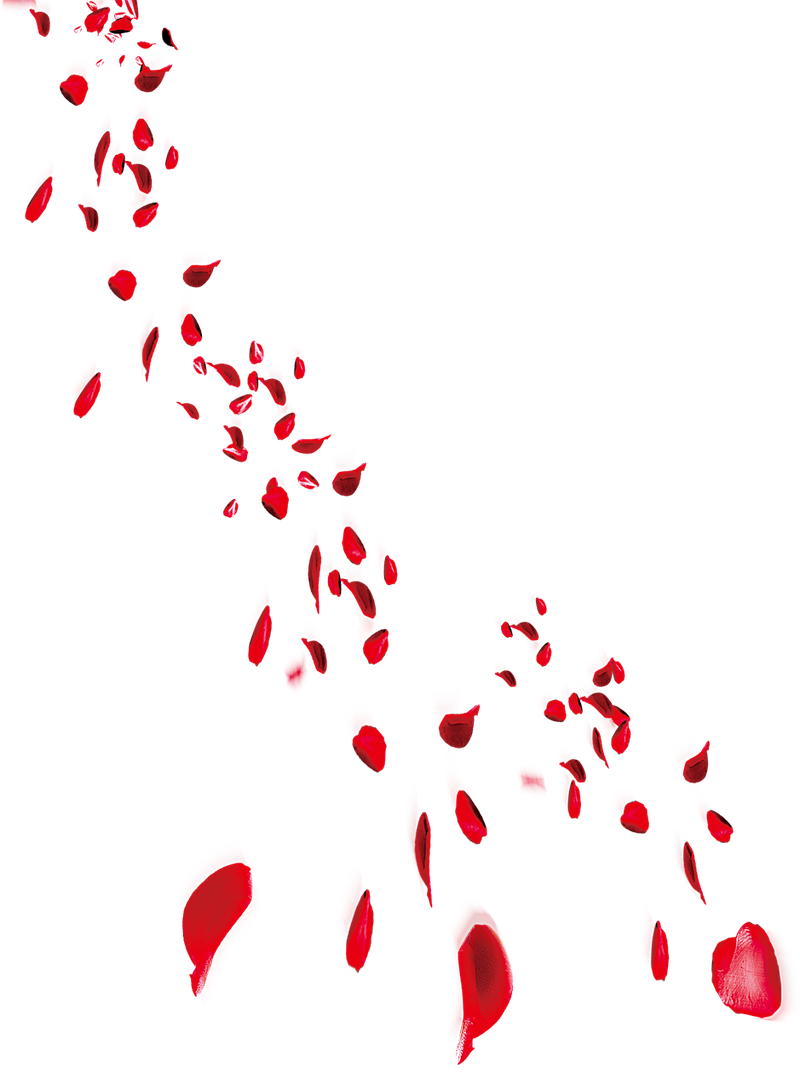 红色上漂浮花瓣