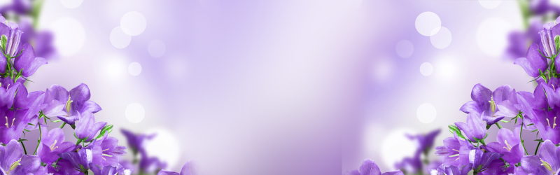 梦幻紫色花朵背景素材