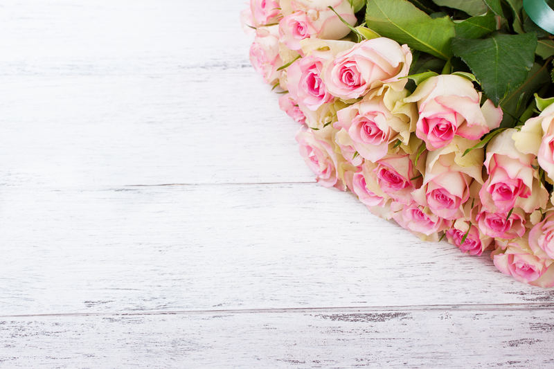 粉色玫瑰花背景图片素材