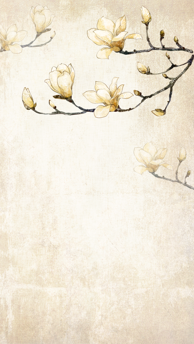中国风玉兰花枝质感古典H5背景素材