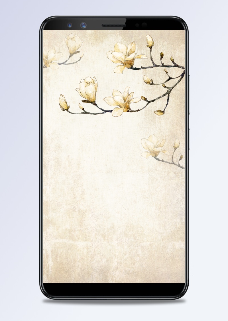 中国风玉兰花枝质感古典H5背景素材