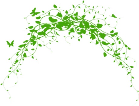 绿色草藤植物元素