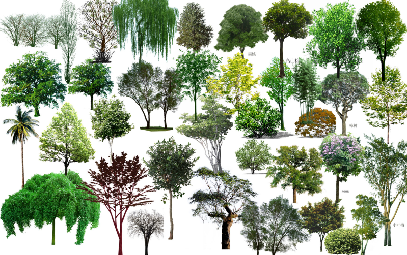 乔木风景树鸟瞰图设计PSD分层素材