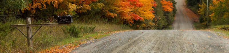 秋日大自然景观道路横幅图片