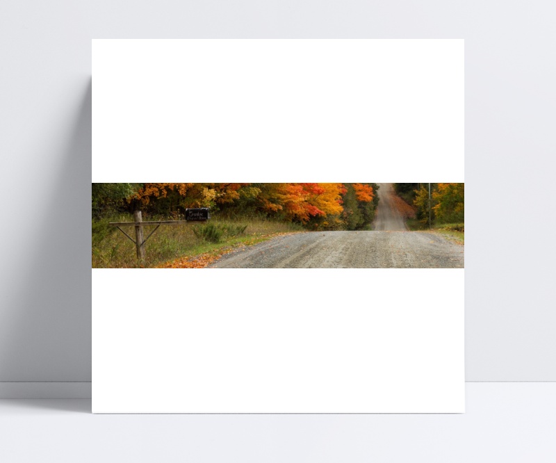 秋日大自然景观道路横幅图片