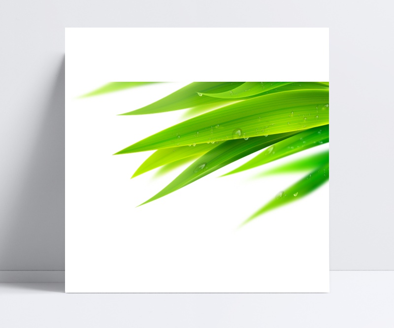 绿色竹叶植物元素