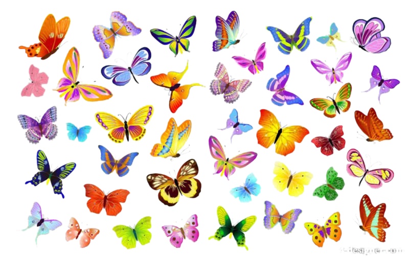 各种各样的蝴蝶免抠png透明素材