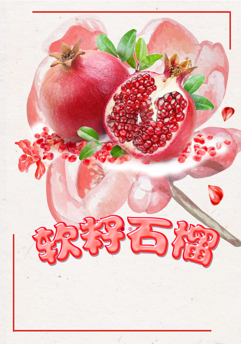 手绘简约石榴水果设计海报背景素材