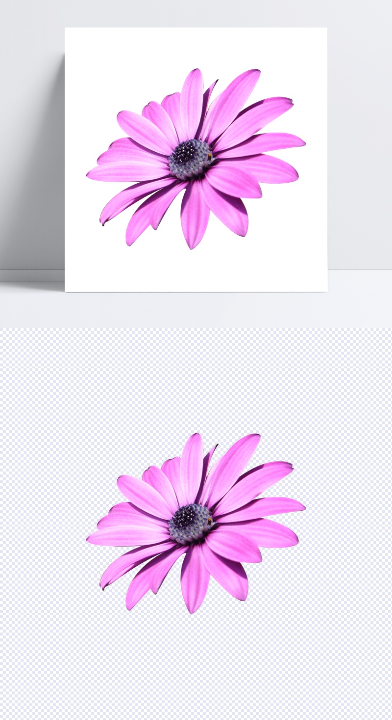 粉紫的花花