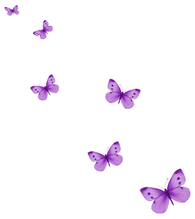 漂浮紫色蝴蝶飞舞