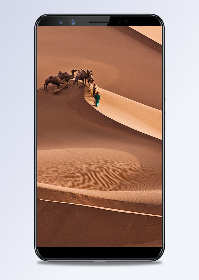 沙漠黄沙骆驼H5背景