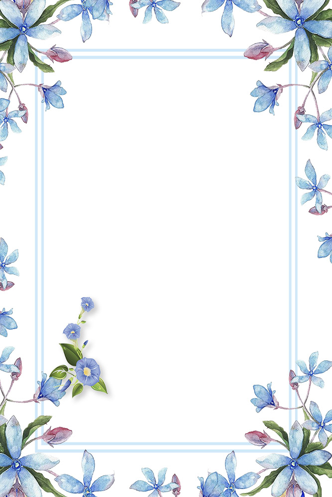 小清新蓝色花朵边框