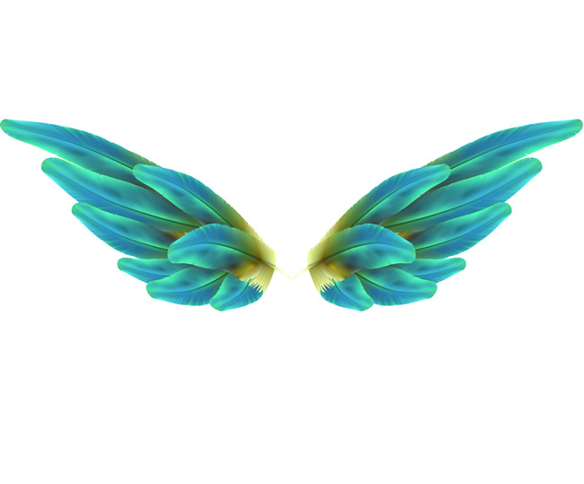 天使的翅膀图片psd分层素材