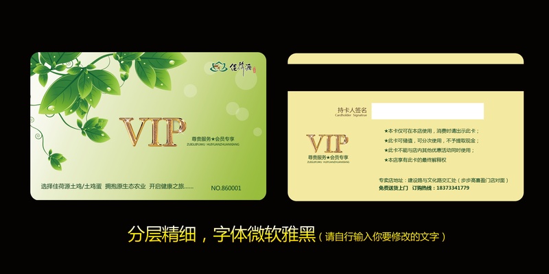 新VIP会员卡设计模板psd