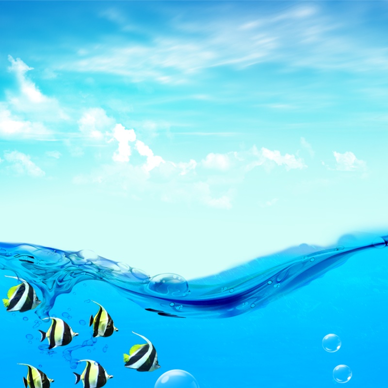 蓝色大海热带鱼化妆品PSD分层主图背景
