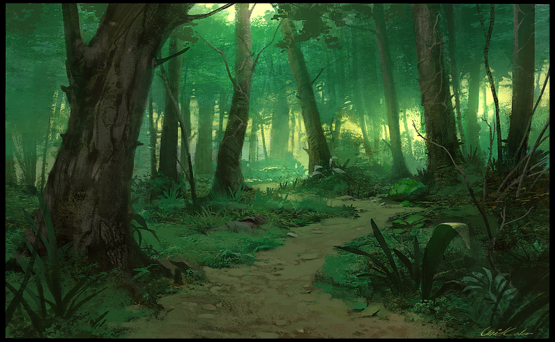 绿色神秘森林迷雾