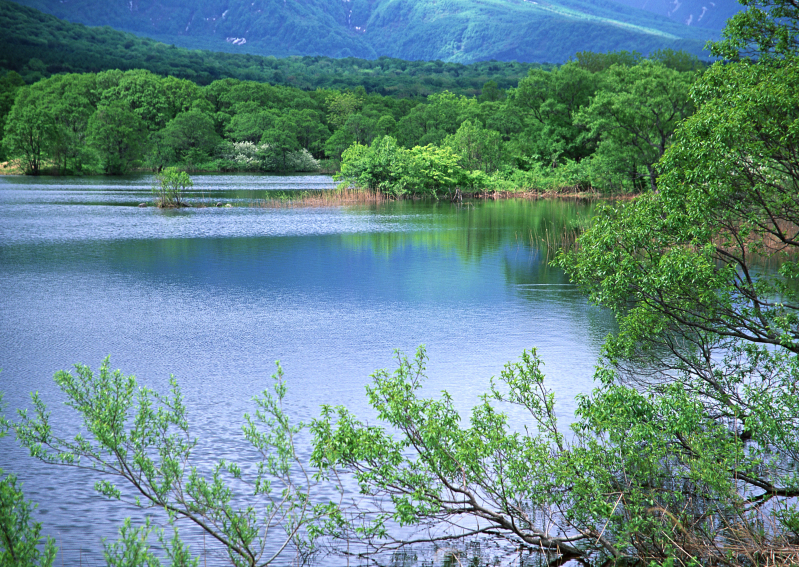 湖泊自然风景