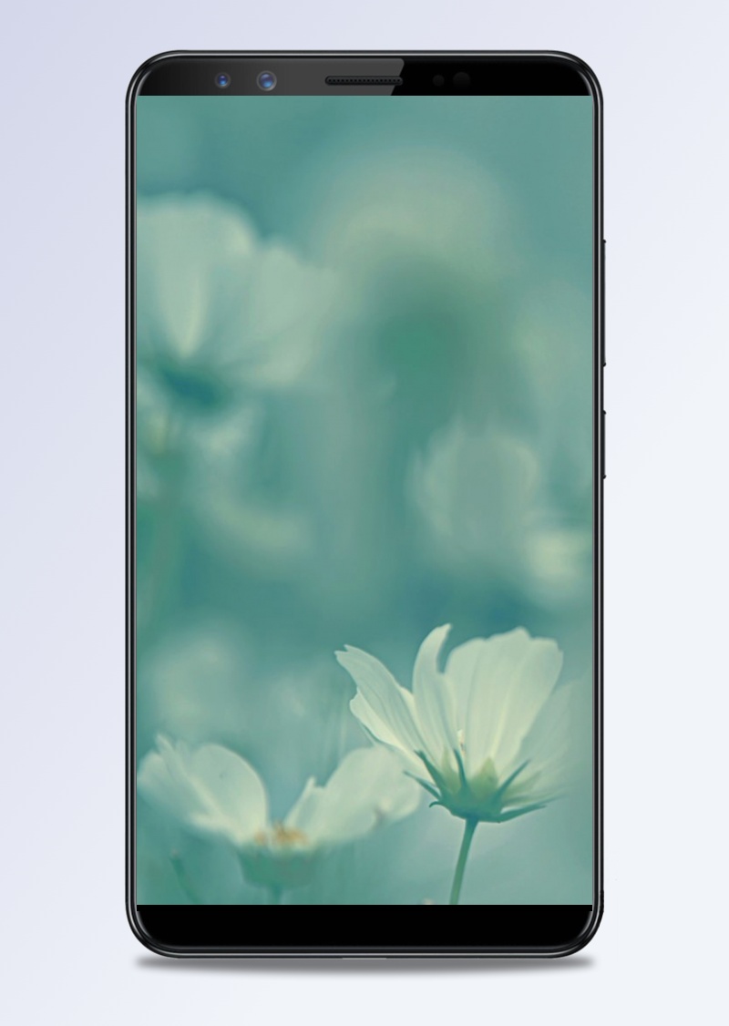 风景蓝底白色花朵H5背景素材
