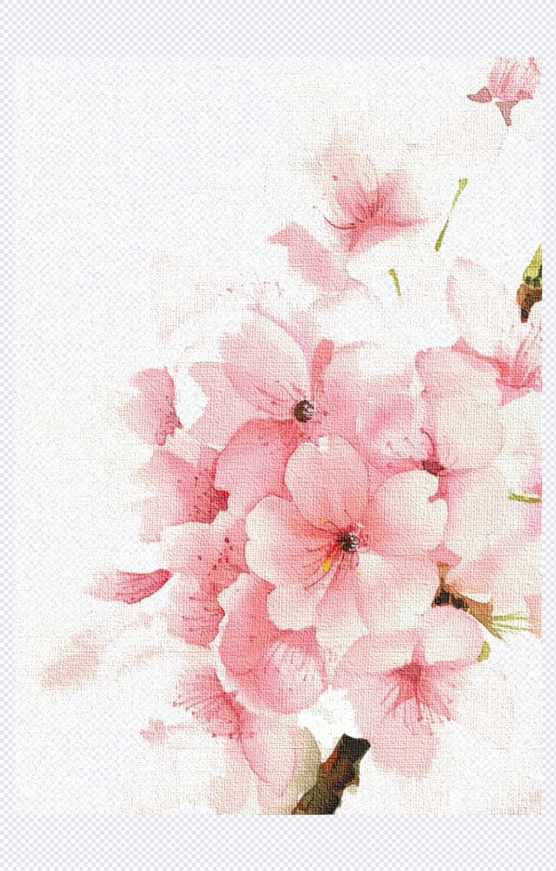 朵朵粉色樱花图片