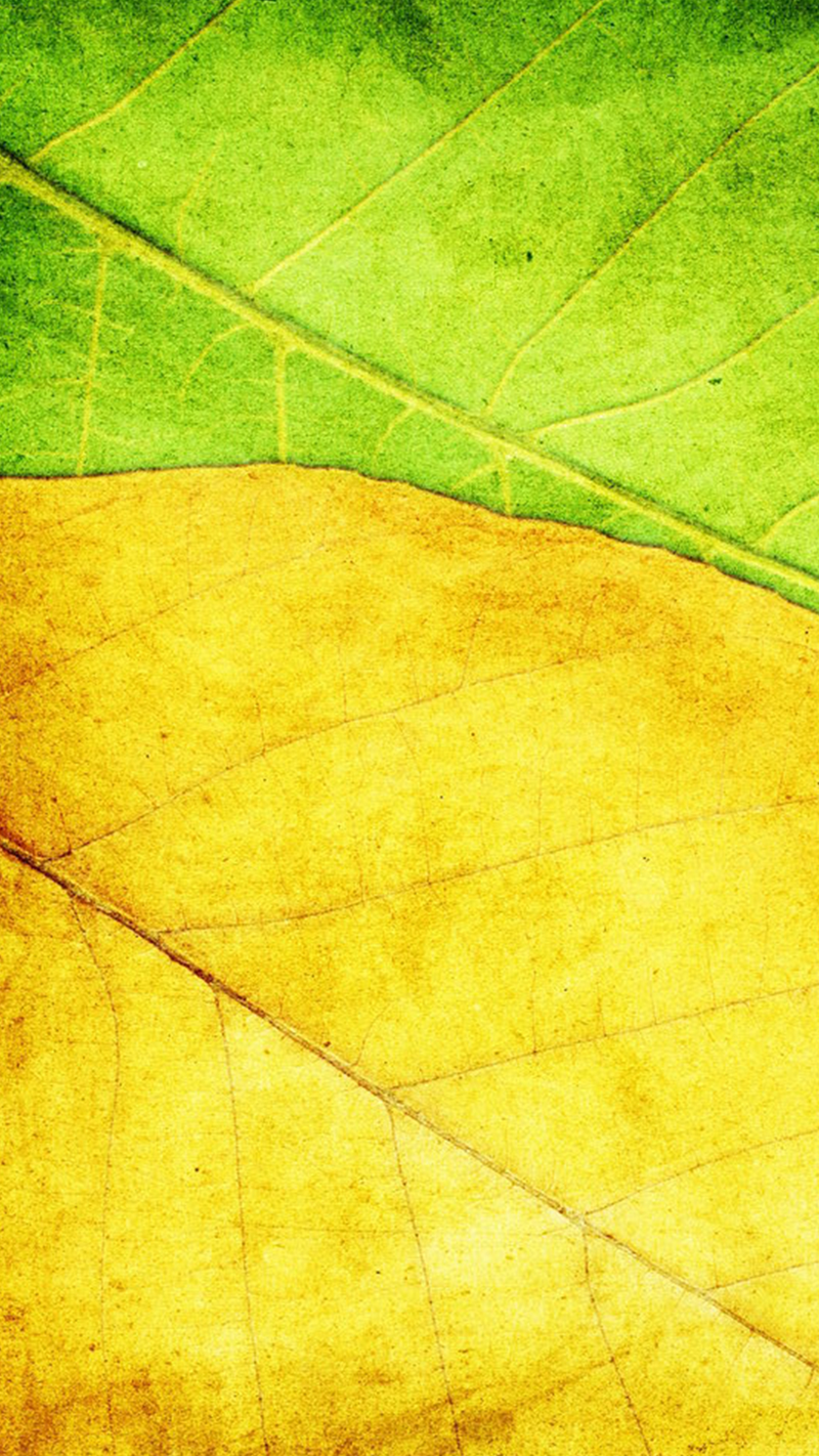 黄绿树叶h5素材背景