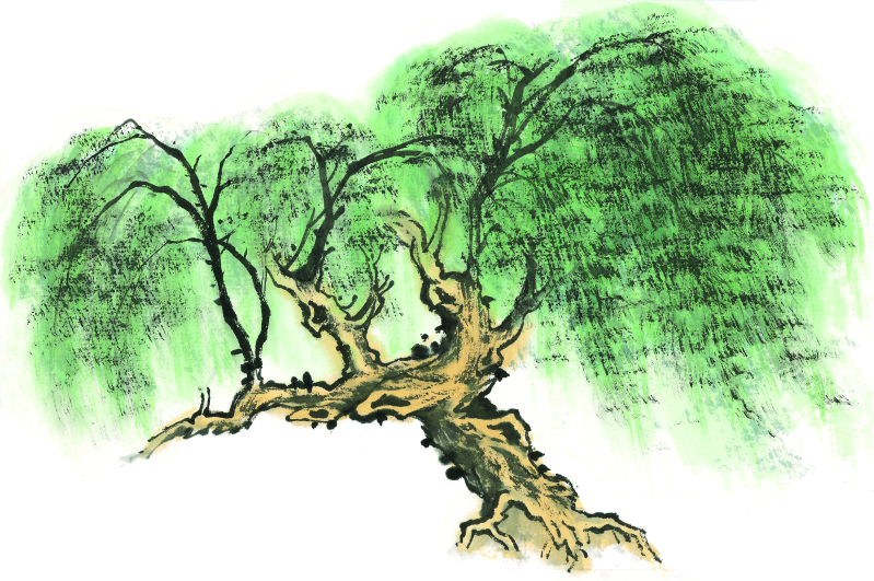 一棵柳树写意画