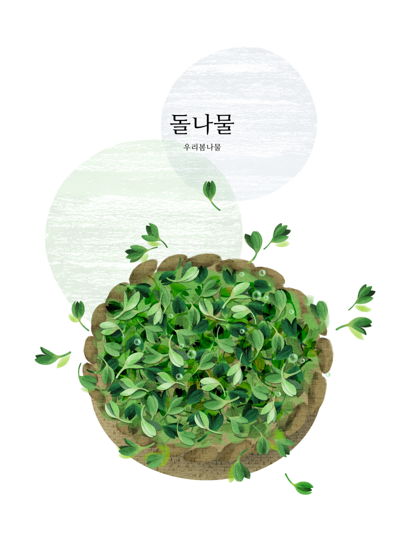 嫩豆芽_可口青菜_手绘植物_美食插图插画设计psd_ti3